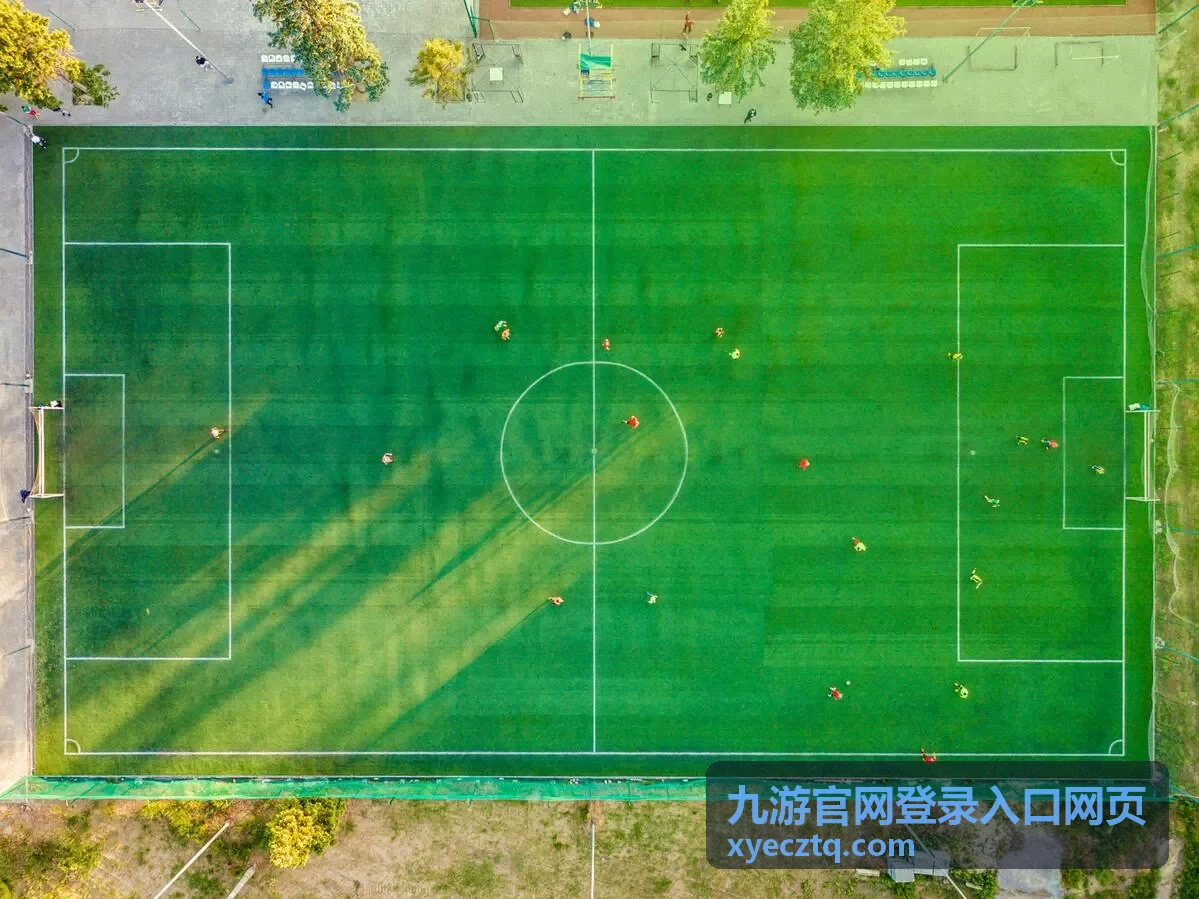 九游官网登录入口网页通道选择示意画面