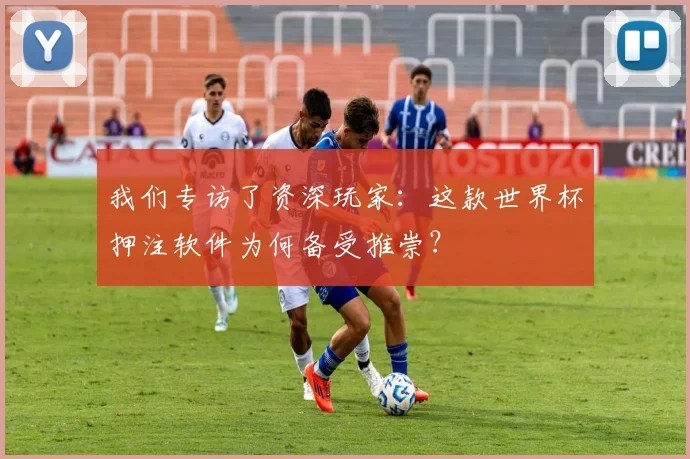 我们专访了资深玩家:这款世界杯押注软件为何备受推崇?
