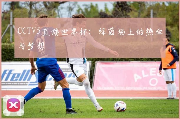 CCTV5直播世界杯:绿茵场上的热血与梦想
