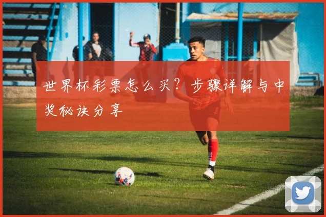 世界杯彩票怎么买？步骤详解与中奖秘诀分享