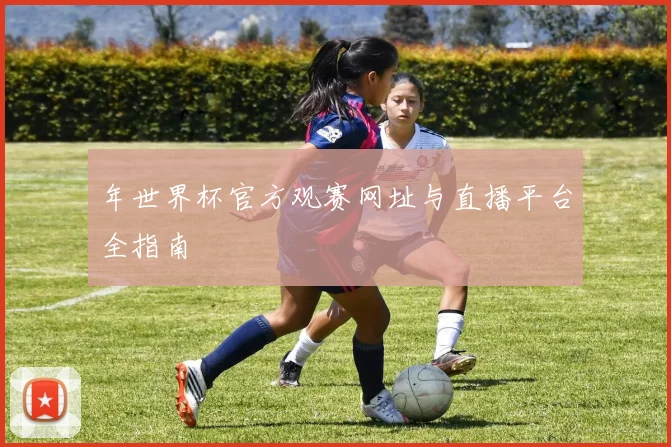 年世界杯官方观赛网址与直播平台全指南