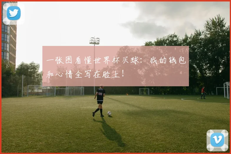 一张图看懂世界杯买球：我的钱包和心情全写在脸上！