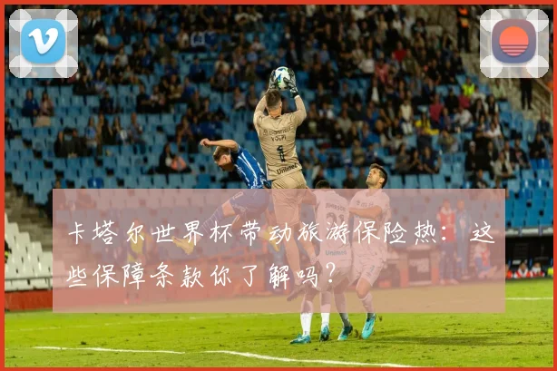 卡塔尔世界杯带动旅游保险热：这些保障条款你了解吗？