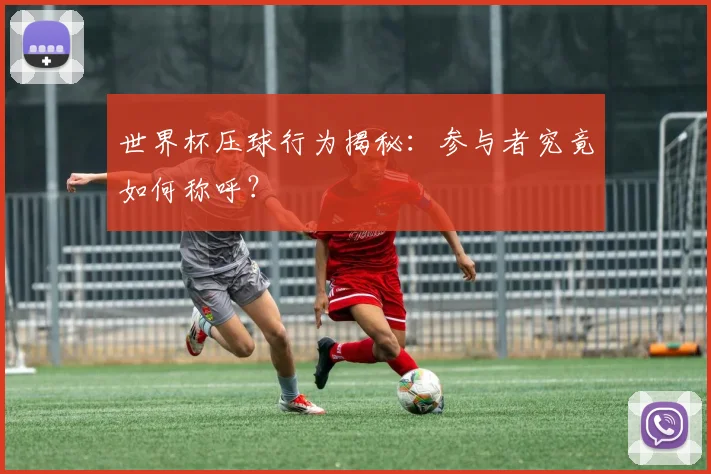 世界杯压球行为揭秘：参与者究竟如何称呼？